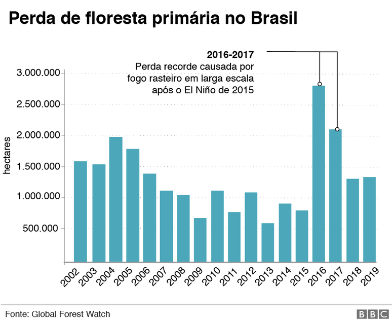 gráfico de perda de floresta primária no Brasil