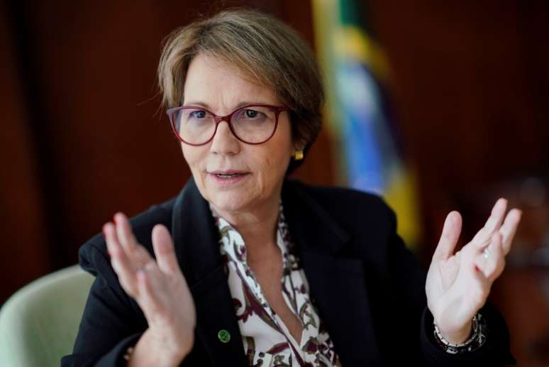 Ministra da Agricultura, Tereza Cristina 
18/01/2019
REUTERS/Ueslei Marcelino