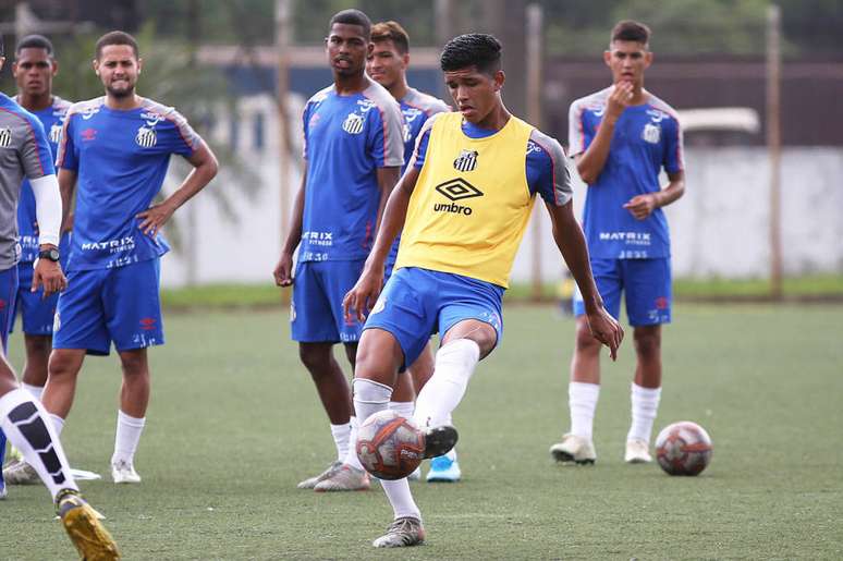 Atletas, pais e funcionários da base do Santos estão aderindo ao programa Sócio Rei(Foto: Divulgação/Pedro Ernesto Guerra Azevedo)