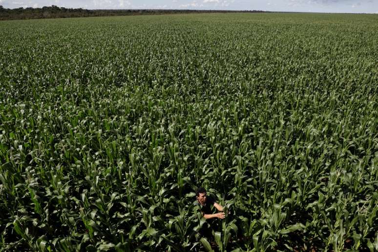 Área com plantio de milho em Campo Novo do Parecis (MT) 
26/04/2018
REUTERS/Ueslei Marcelino