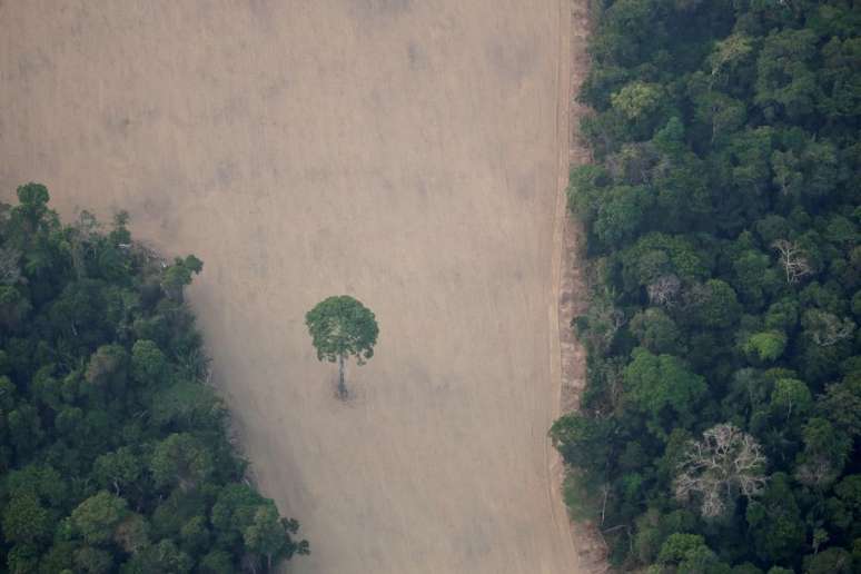 Vista aérea de local desmatado da Amazônia na região de Porto Velho (RO) 
