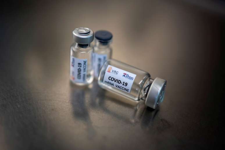 Potencial vacina brasileira contra covid-19 começa a ser testada em animais