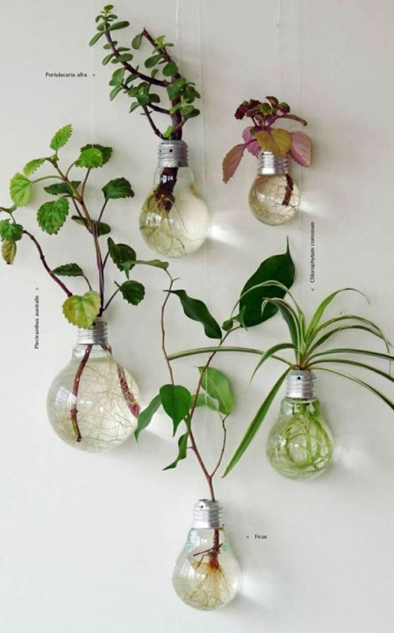 36. Artesanatos fáceis para usar como vaso de plantas moderno – Via: Pinterest