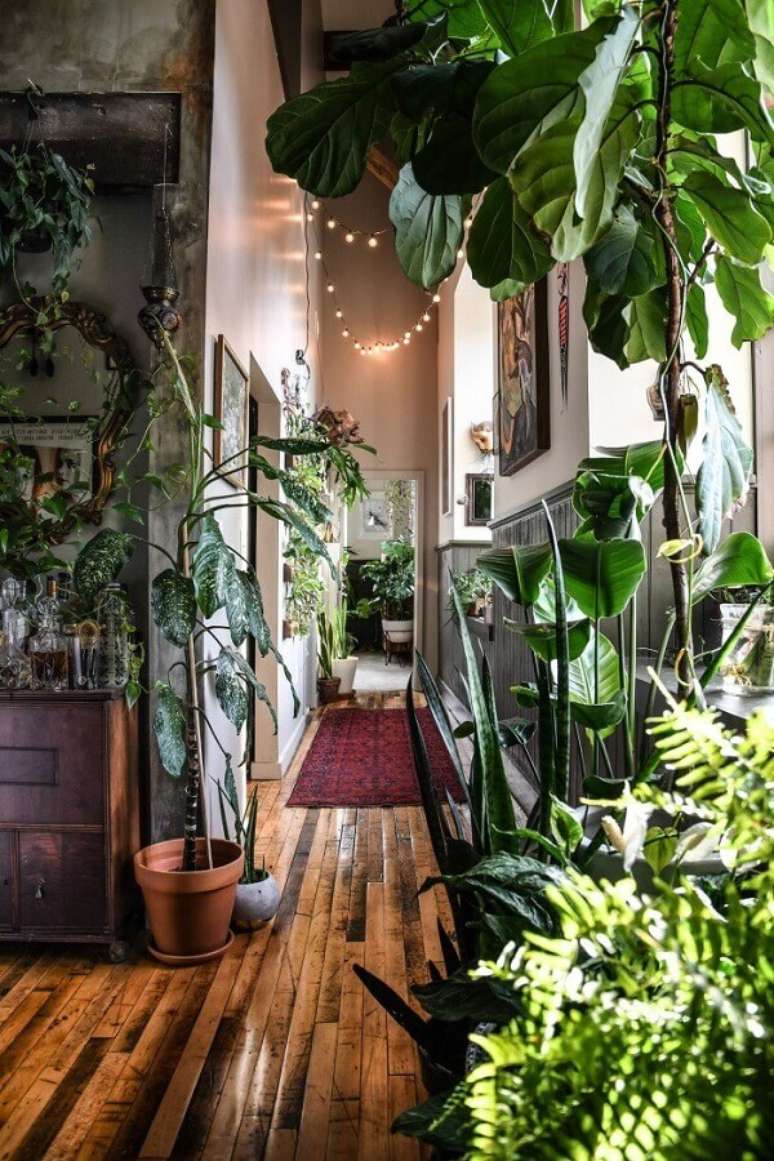 2. Que tal fazer uma urban jungle na sua varanda para aproveitar a iluminação – Foto: Pinterest