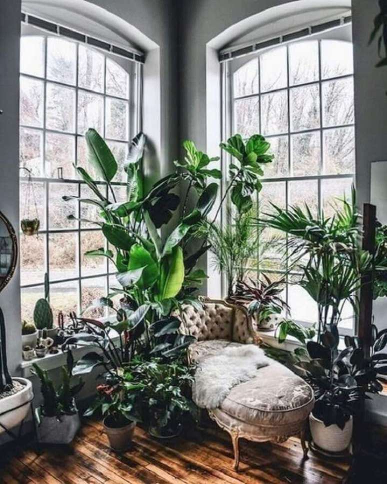 4. Sala de estar com amplas janelas decorada com vários vasos de plantas – Foto: Pinterest