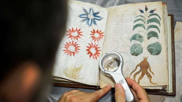 O manuscrito Voynich combina textos em um idioma ou código desconhecido, além de desenhos intrigantes