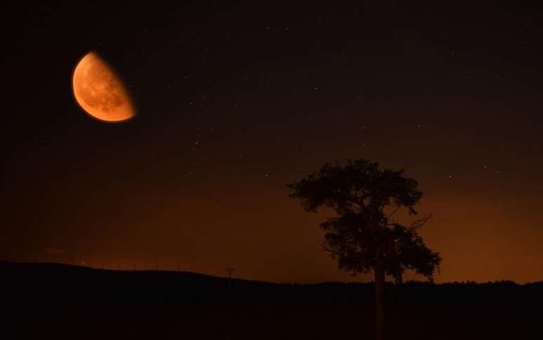 Entenda a influência da Lua Minguante em Peixes - Crédito: yobli/Shutterstock
