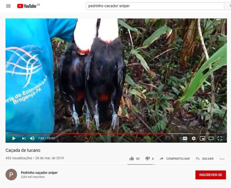 Vídeo no YouTube mostra dois tucanos abatidos por caçadores; canais na plataforma com dicas e cenas de caça de animais silvestres somam milhares de seguidores.