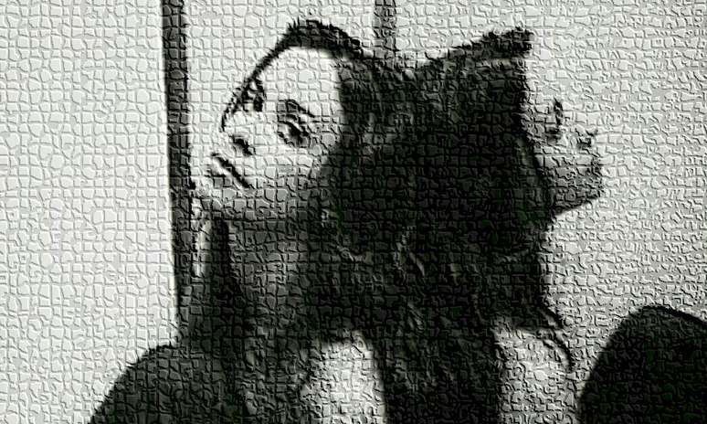 Foto: Divulga&ccedil;&atilde;o | Warner Music