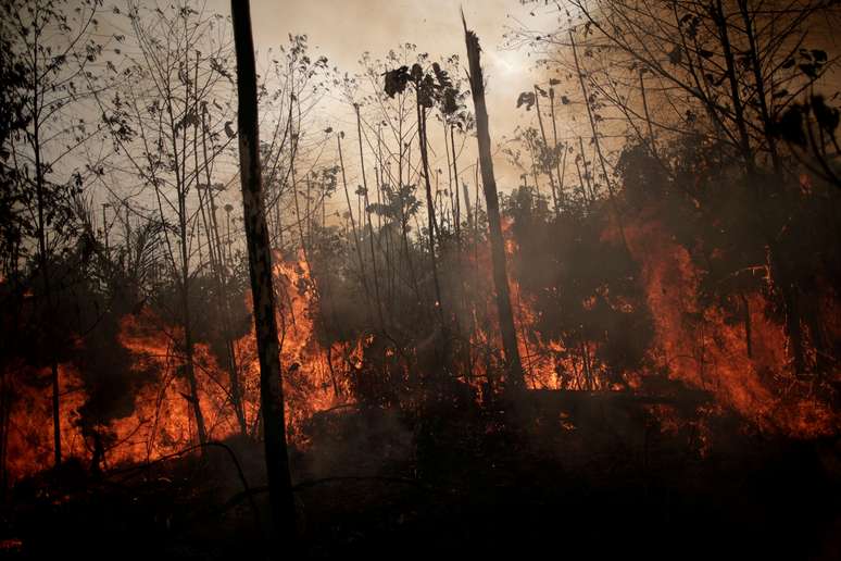 Queimadas atingem área da Amazônia em Porto Velho
23/08/2019
REUTERS/Ueslei Marcelino/