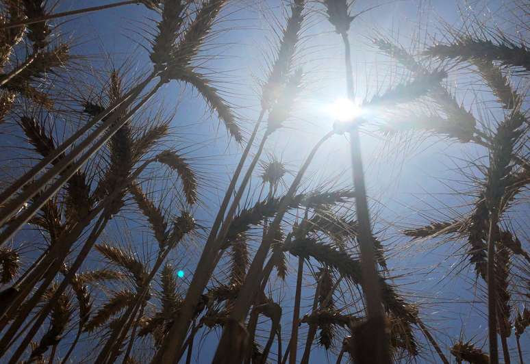 28/04/2020. REUTERS/Sherif Fahmy