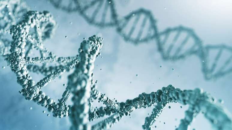 Voc&ecirc; n&atilde;o carrega todo o DNA de todos os seus ancestrais