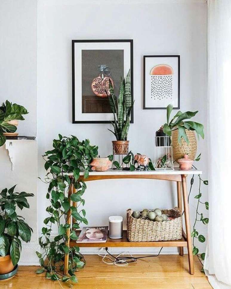 6. Aparador decorado com planta jiboia e outras plantas bonitas – Via: Pinterest