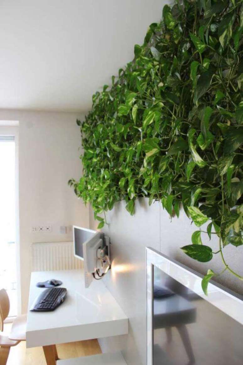 3. Planta jiboia na decoração do escritório – Via: Pinterest