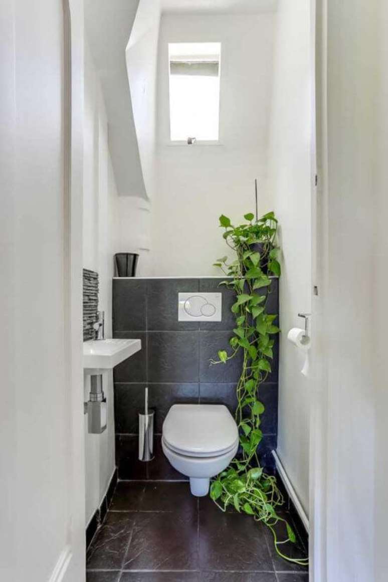 44. Lavabo com planta jiboia pendente &ndash; Via: Pinterest