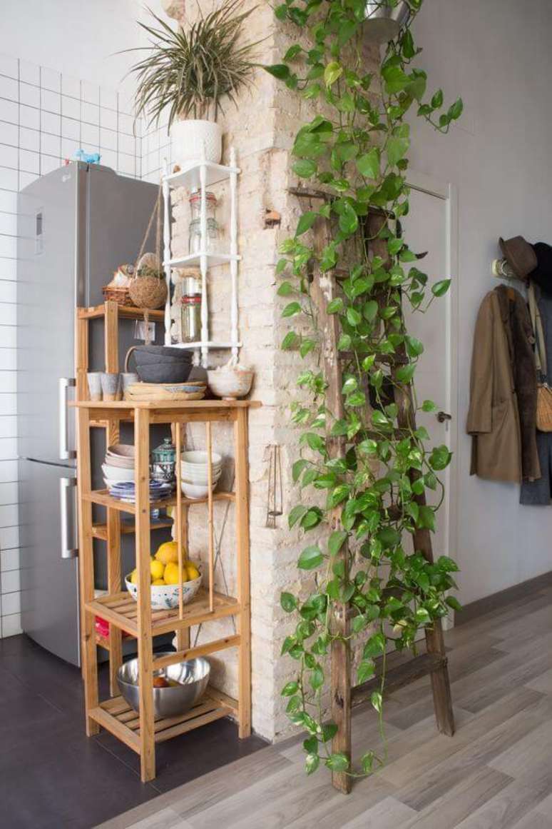 57. Cozinha decorada com planta jiboia – Via: Pinterest
