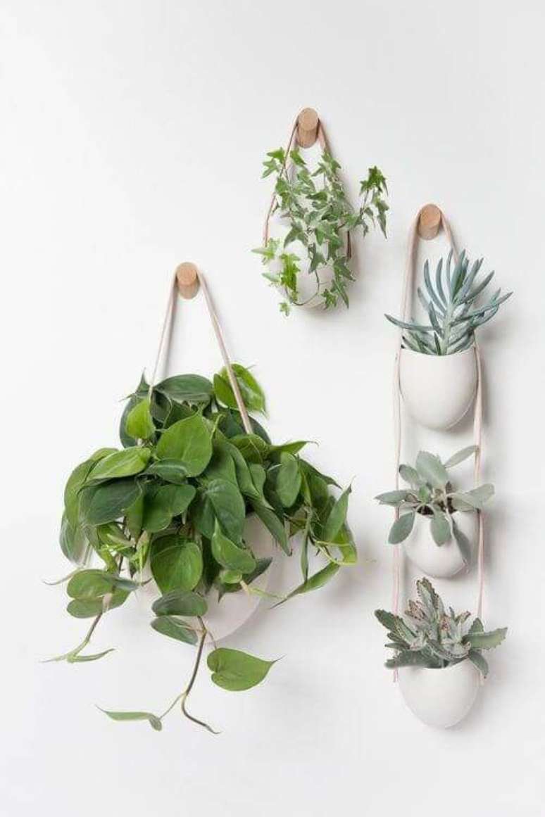 59. Vasos de plantas como planta jiboia e suculentas na decoração de casa – Via: Pinterest