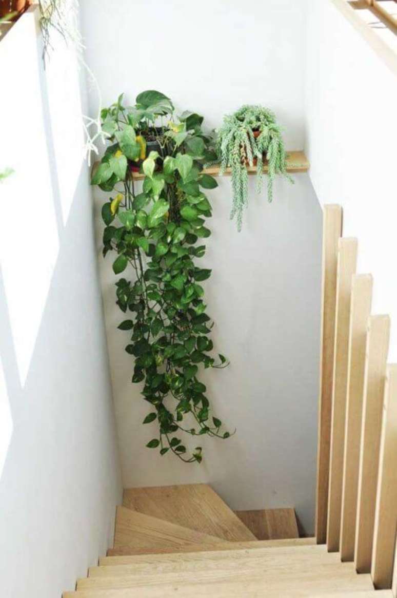 61. Planta jiboia na escada de casa – Via: Pinterest