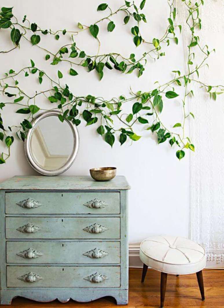 17. Comoda retro com planta jiboia decorando a parede – Via: Pinterest