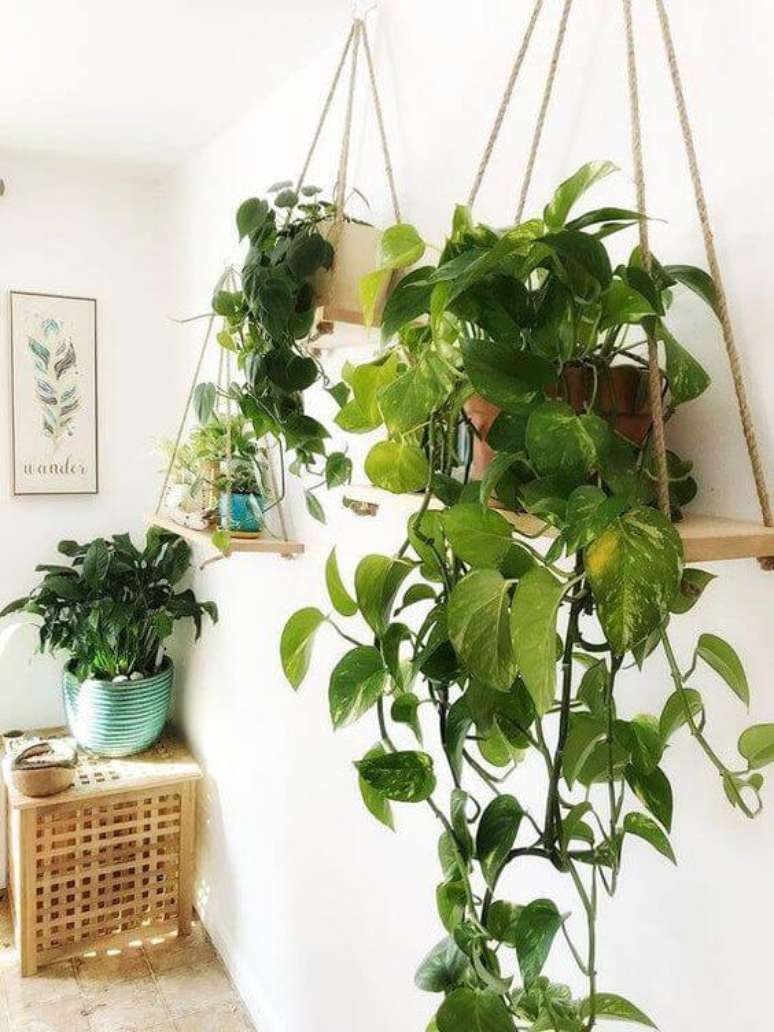 19. Use a planta jiboia pendente para decorar os cantinhos da sua casa – Via: Pinterest