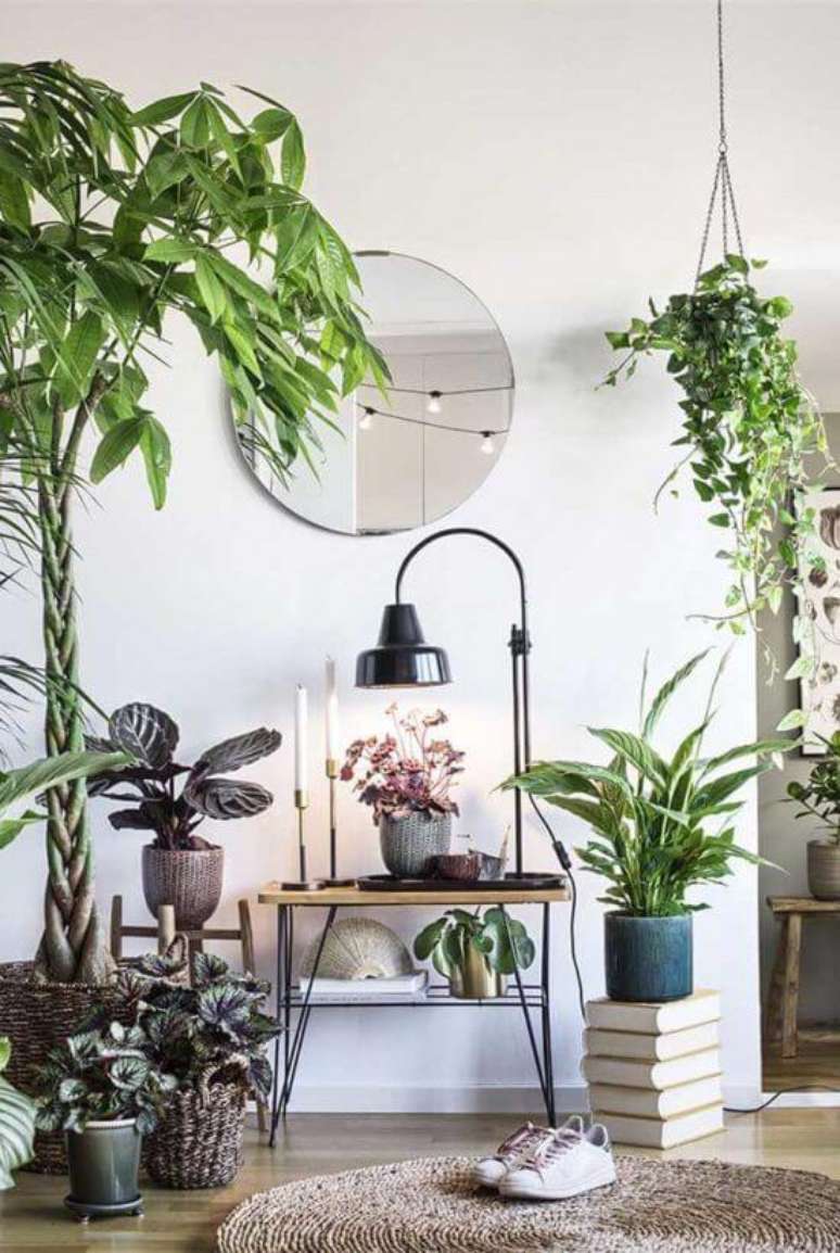 26. Cantinho da casa com plantas variadas na decora&ccedil;&atilde;o &ndash; Via: Pinterest
