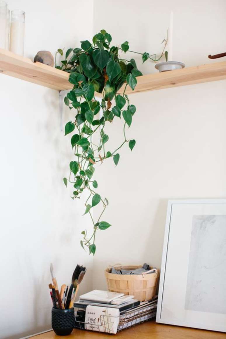 27. O home office também é um excelente lugar para colocar o vaso de planta jiboia – Via: Pinterest