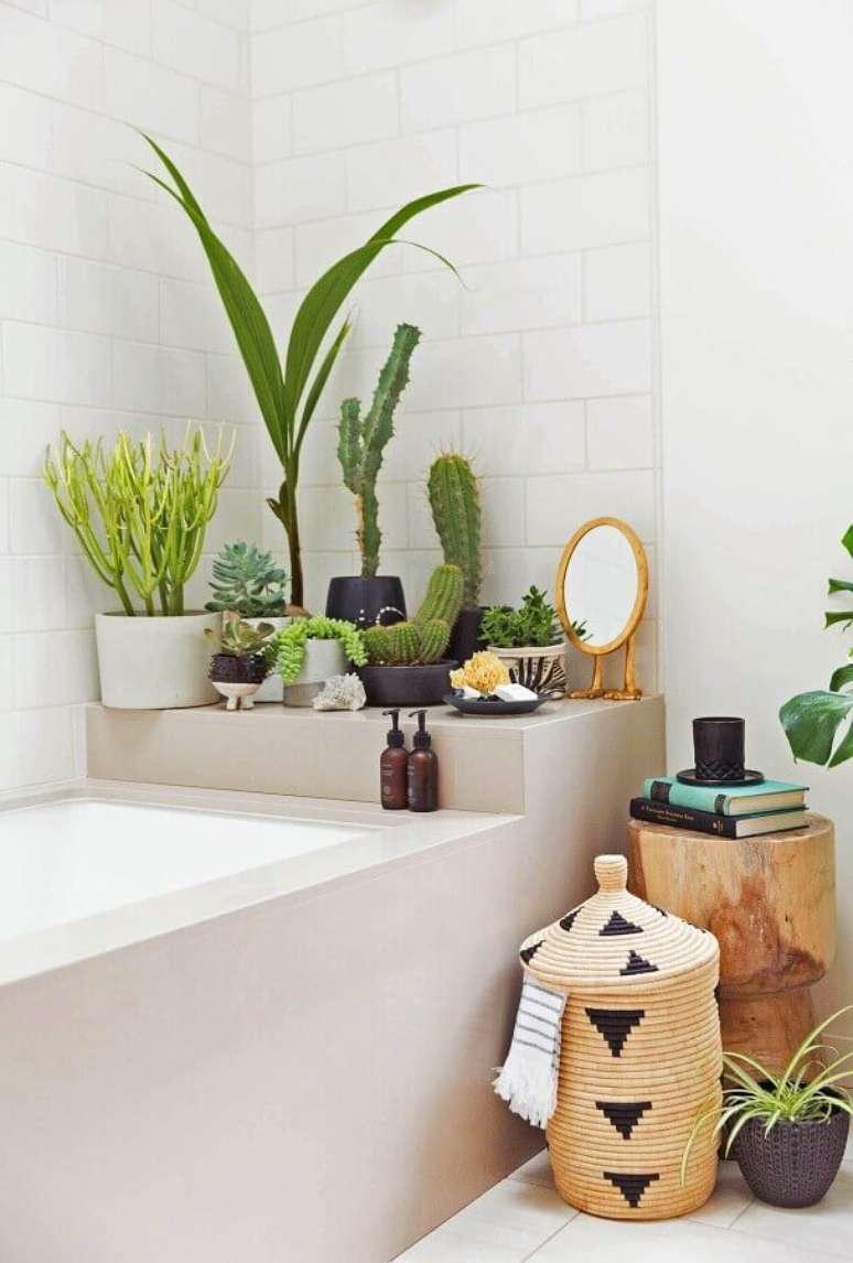Decoração com Plantas: +64 Ideias e Tipos de Plantas para Decorar