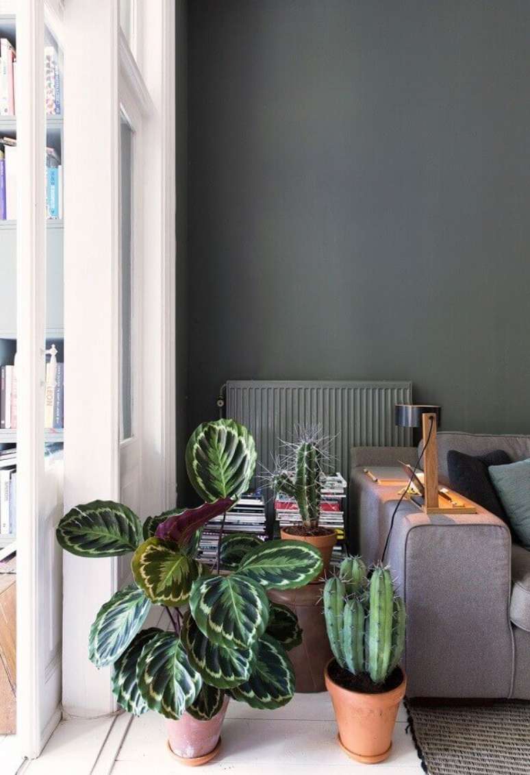 34. Decoração com plantas para sala cinza moderna – Foto: Follow The Colours