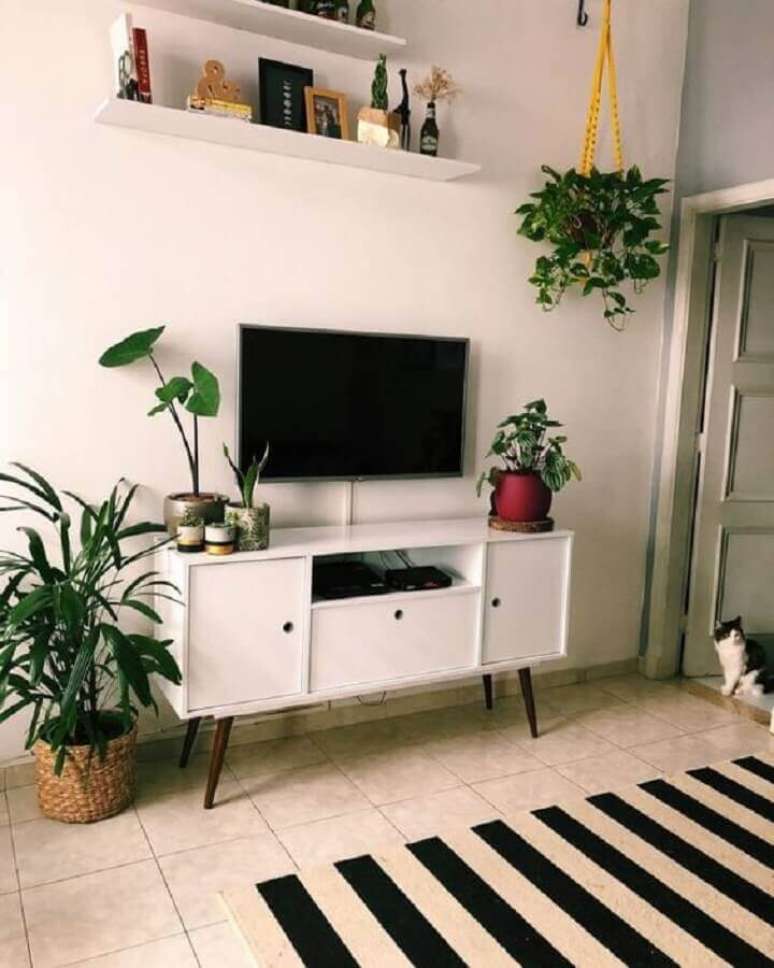 38. Decoração com plantas para sala simples com tapete listrado e rack retrô branco – Foto: Pinterest