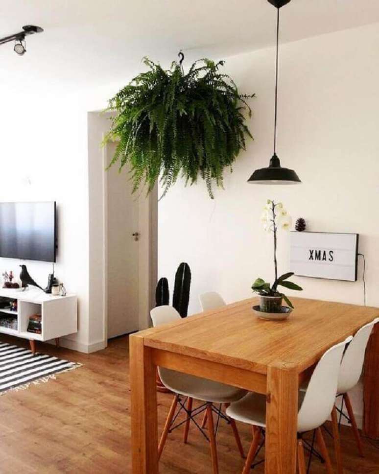 47. A samambaia é uma das plantas mais usadas para casas decoradas com plantas – Foto: Decor Style