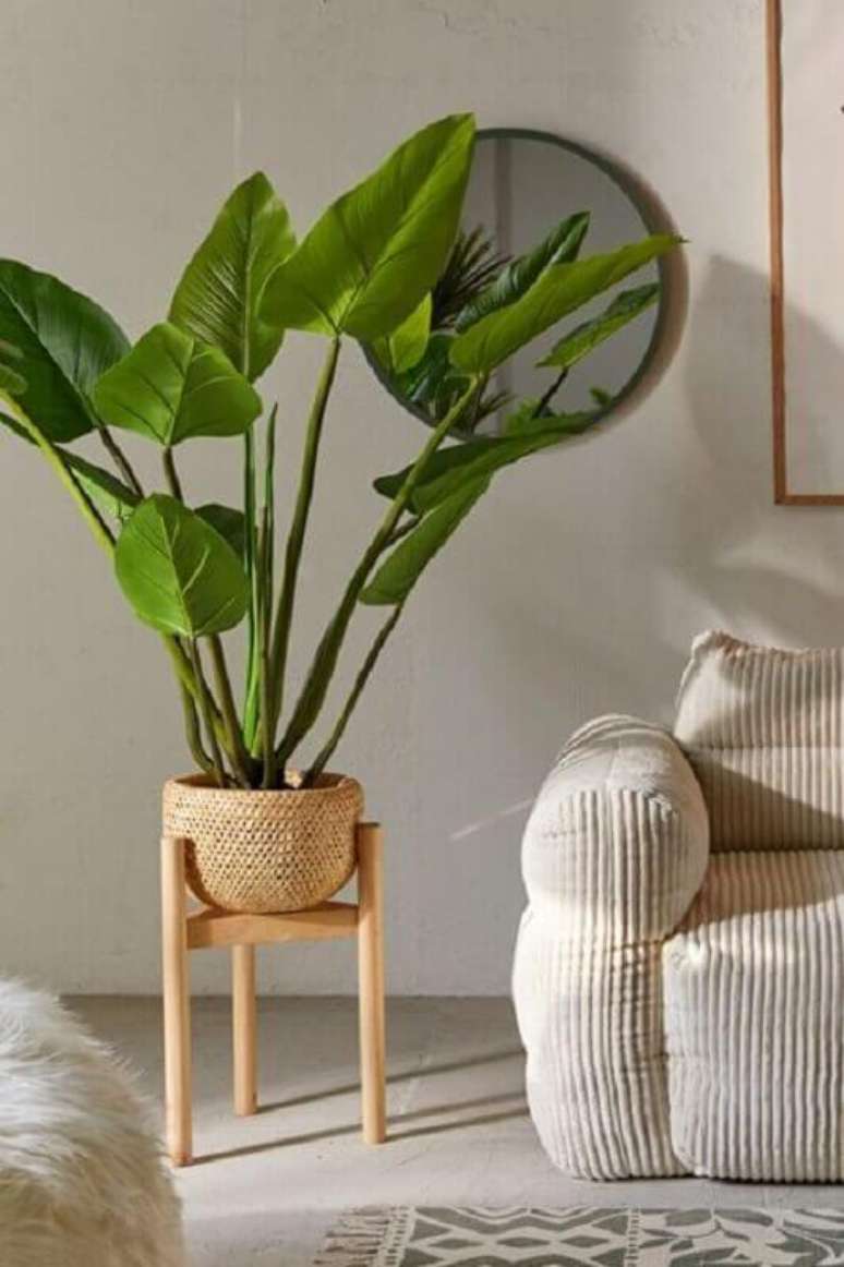 60. Vasos com plantas para decoração de sala de estar clean – Foto: Urban Outfitters