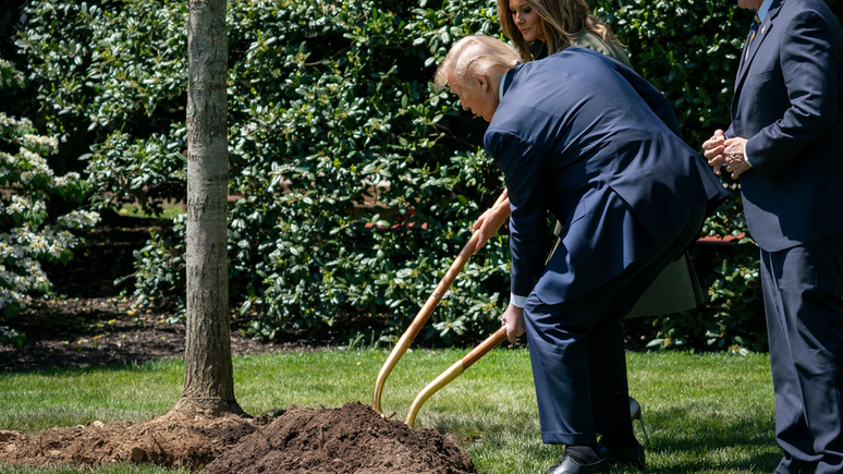 Nos EUA, o presidente Donald Trump participou de projeto que pretende plantar 1 trilhão de árvores