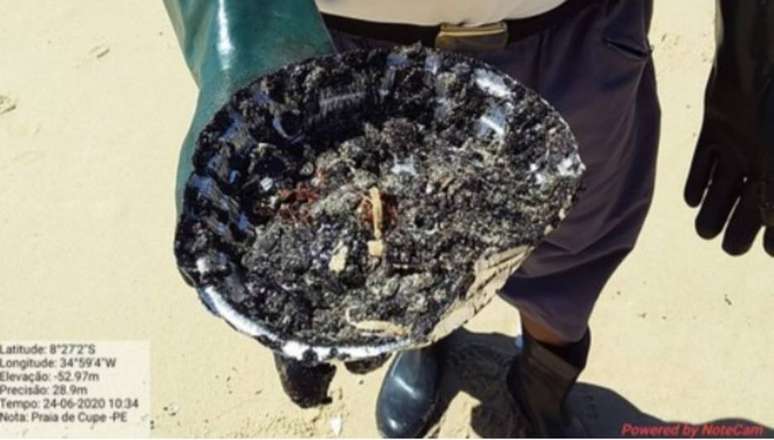 Marinha do Brasil divulgou imagens da coleta de fragmentos de óleo de praias do Nordeste em junho deste ano