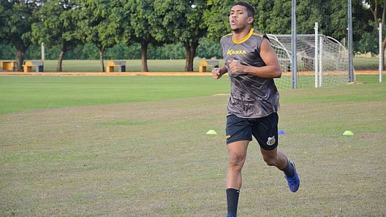 Novorizontino é o último invicto do Campeonato Paulista