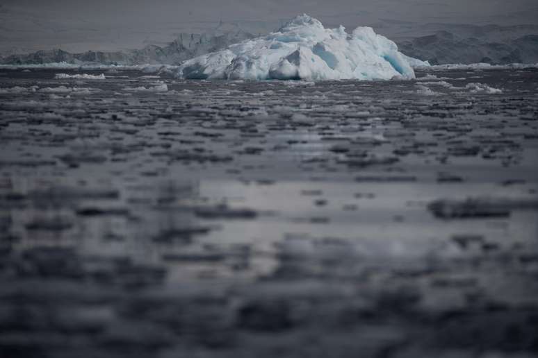 Pequenas plataformas de gelo na baía de Fournier, Antártica 
03/02/2020
REUTERS/Ueslei Marcelino