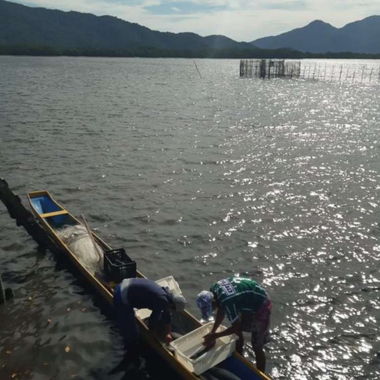 Pescadores da Ilha do Cardoso voltaram a trabalhar depois de projeto de doação