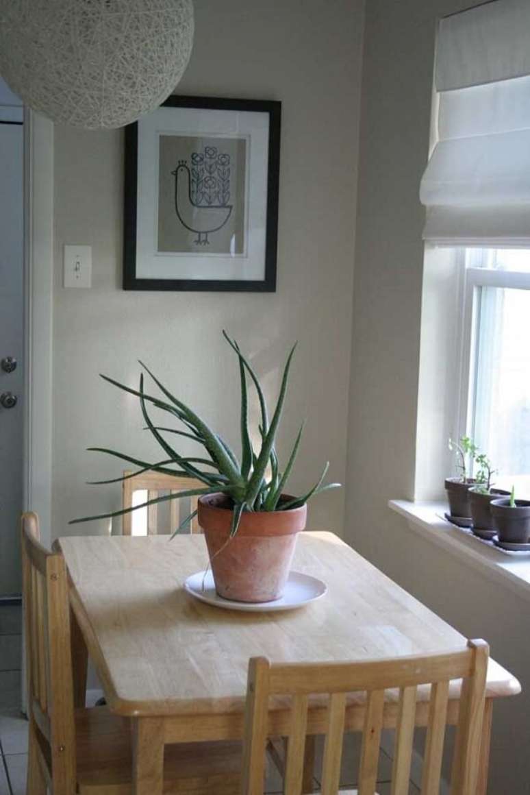 10. A mesa de jantar foi posicionada em um local estratégico da cozinha, onde a luz do sol consegue banhar o vaso de babosa. Fonte: Pinterest