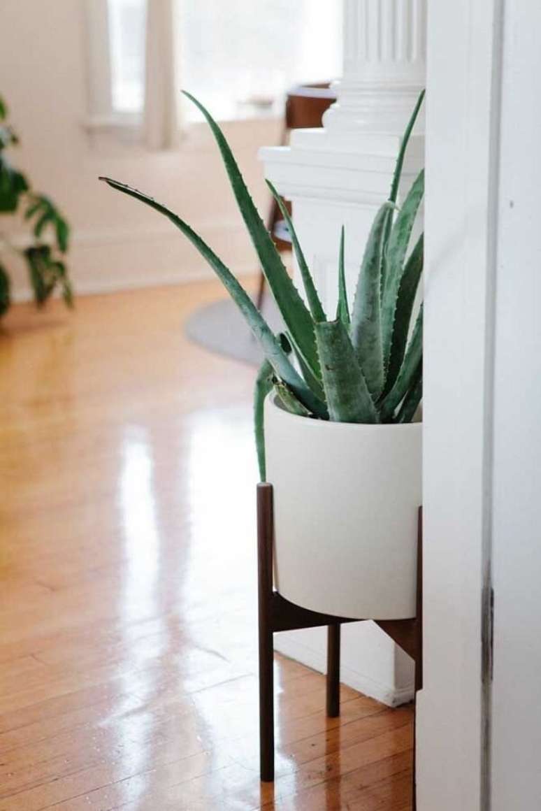 5. Aprenda como plantar babosa em vaso e decore a entrada de casa. Fonte: Pinterest