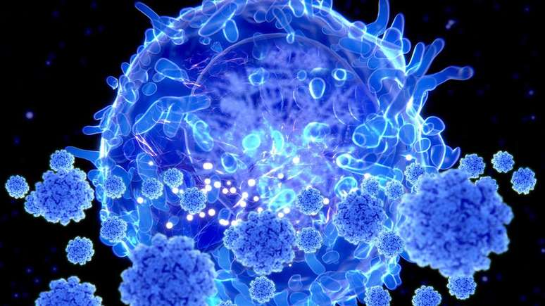 As células T são um tipo de linfócito, células de defesa do sistema imunológico presentes no sangue