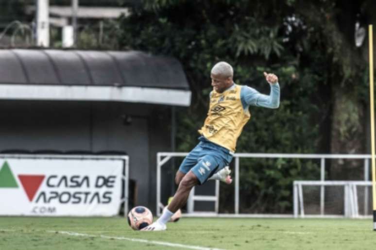 Arthur Gomes é um dos artilheiros do Santos na temporada (Foto: Ivan Storti/Santos FC)