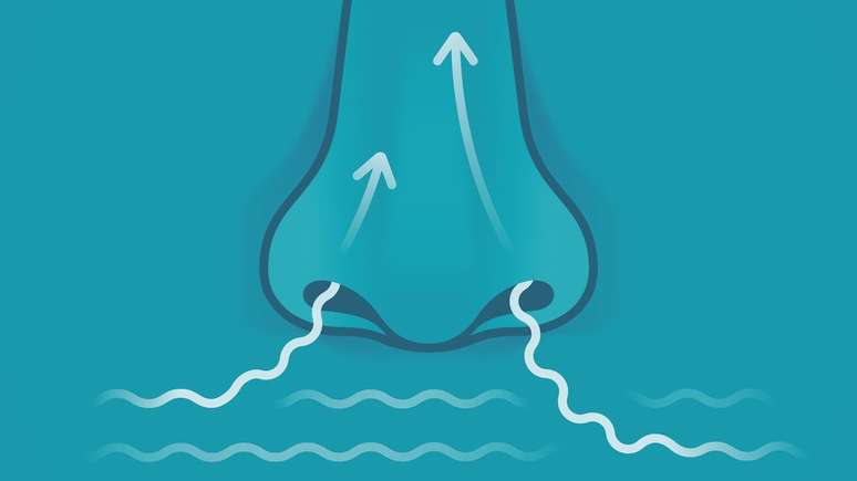 Meningoencefalite amebiana prim&aacute;ria ocorre quando a &aacute;gua contaminada entra pelo nariz e chega ao c&eacute;rebro