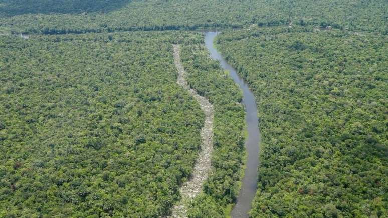 Biden já anunciou que o meio ambiente será uma das suas prioridades