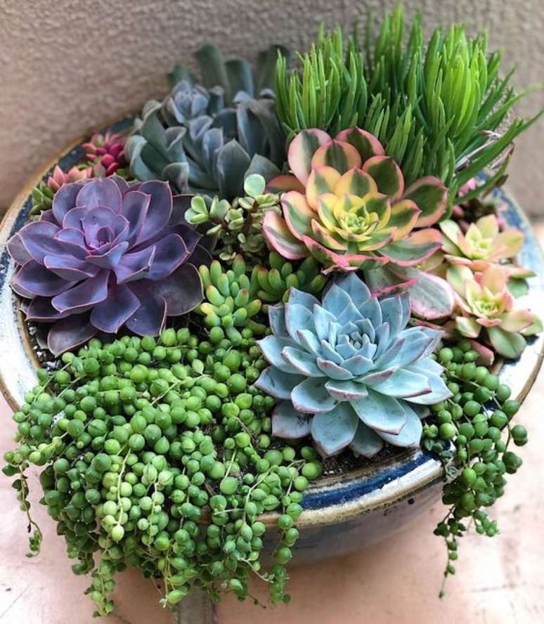 38. Vaso com rosa de pedra echeveria- Via: Pinterest