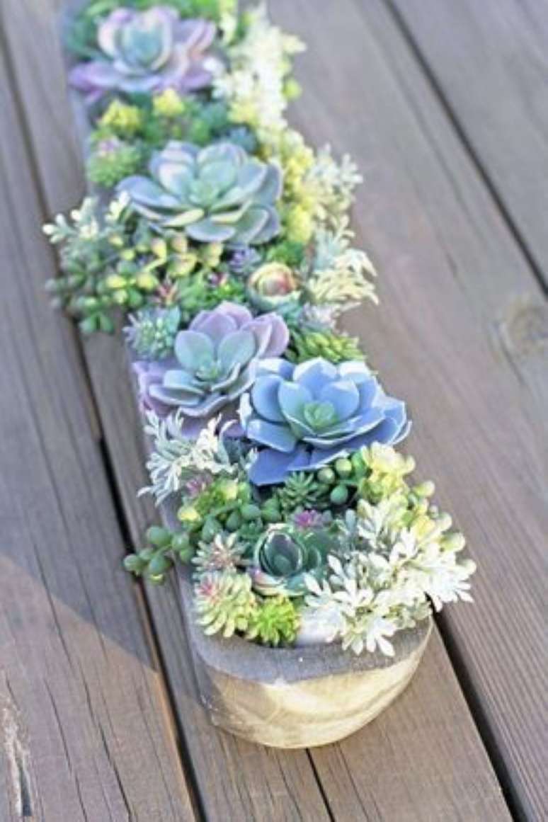 32. Vaso com suculentas para jardim moderno – Via: Pinterest