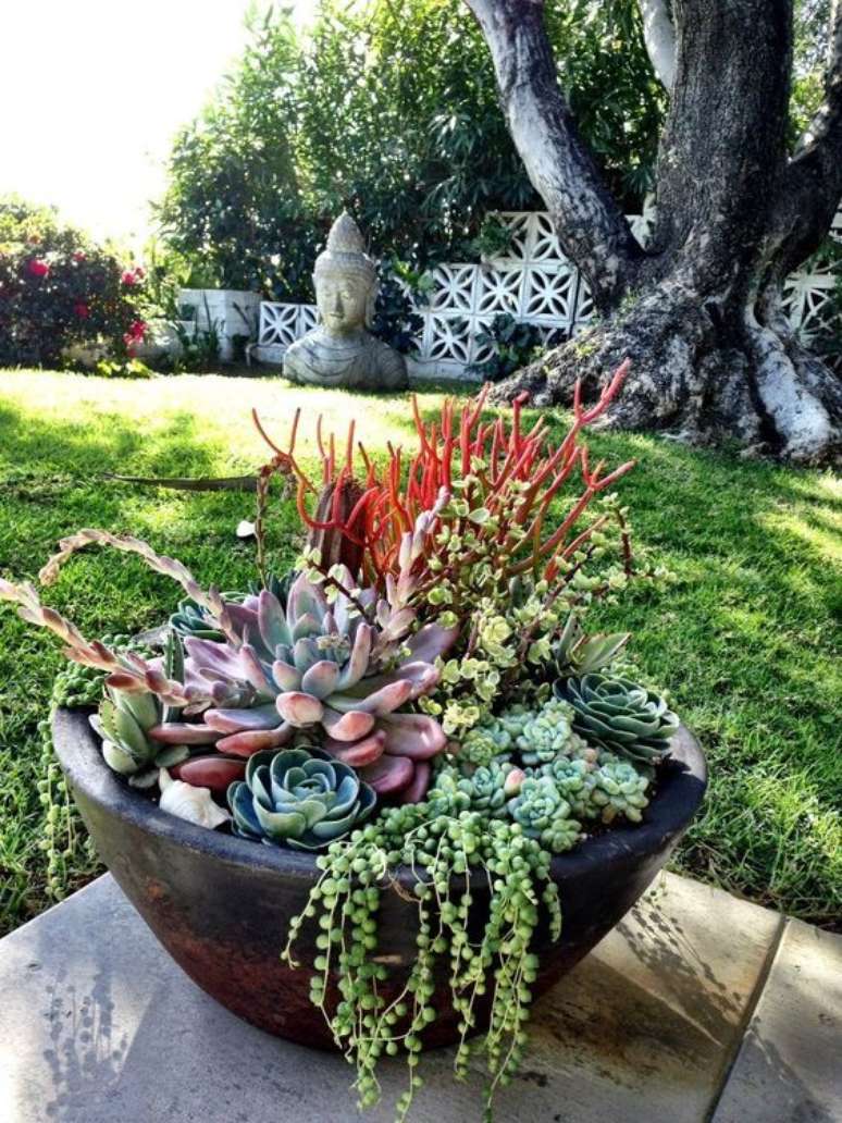 5. Vaso no jardim com suculenta echeveria rosa de pedra – Via: Pinterest