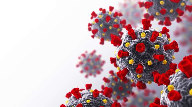 Em todo o mundo, diversos estudos tentam descobrir uma droga eficaz contra o novo coronavírus