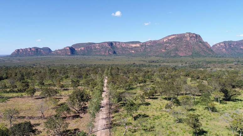 Paisagem do Cerrado, um dos biomas mais importantes e ameaçados do país; para Rittl, a visão dos vários membros do governo sobre o meio ambiente é a mesma