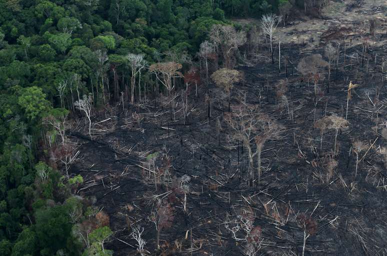 Vista aérea de área desmarada da Amazônia em Itaituba, no Pará
26/09/2019 REUTERS/Ricardo Moraes