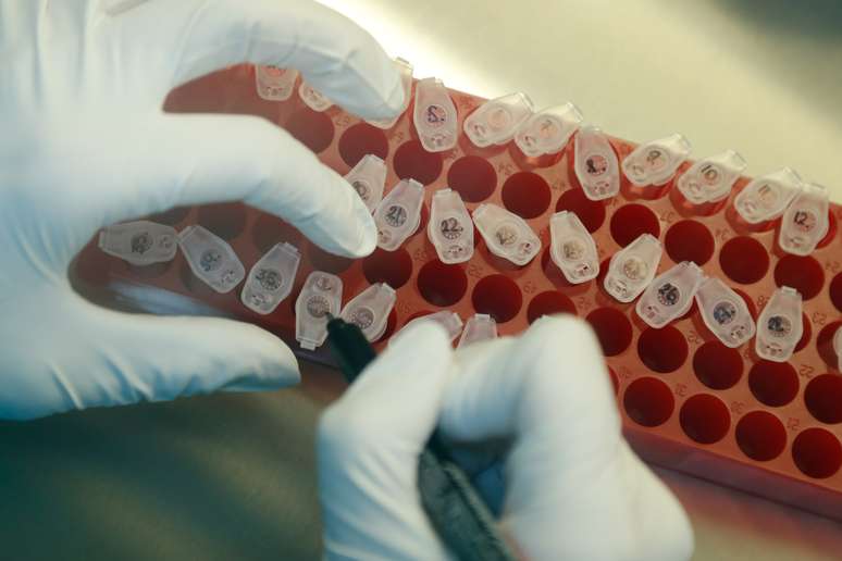 Pesquisador marca amostras durante pesquisa para desenvolvimento de vacina para Covid-19 em laboratório de São Petersburgo
11/06/2020
REUTERS/Anton Vaganov