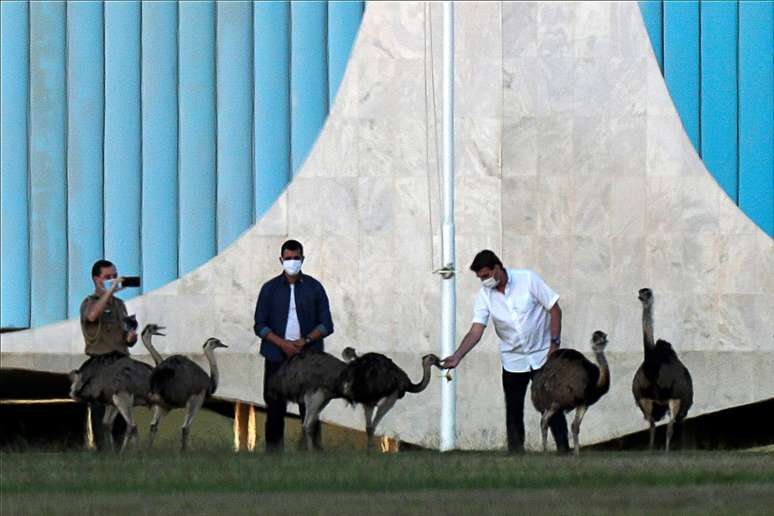 Bolsonaro dá comida a grupo de emas nos jardins do Palácio da Alvorada
13/07/2020
REUTERS/Ueslei Marcelino